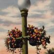 Lamppost Baskets-Circa 1925-Compliments of the Camden Garden Club. (Photo courtesy Camden Garden Club)