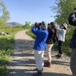 Ann Boover leads a bird walk at Beech Hill. (Photo courtesy Friends of Maine Coastal Islands National Wildlife Refuge)