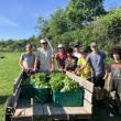 L-R: Erickson Fields Farm Manager Carrie O’Brien, Erickson Fields Farm Hand Connor Palatucci, and the 2025 Summer Teen Ag Crew: Cole Thompson, Taio Widdicombe, Jude Wight, Huy Nguyen, Oliver Wight, Dakota Sanders. (Photo courtesy MCHT
