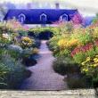 The house was built in 2006, in order to house 11,000 books on agriculture. The painting captures the front garden in full bloom.