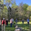 Susan Keefer, Steve Norris and Eddy Edwards lead a walk at Merryspring Nature Center.  (Photo courtesy Friends of Maine Coastal Islands National Wildlife Refuge)