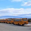 School buses. (Photo by Elias Twitchell)