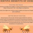 Honey benefits infographic