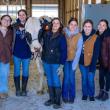 Several University of Maine students and Dancer the cow pose for a photo during the grand opening ceremony of the new robotic milking barn Witter Farm. (Photo courtesy University of Maine)