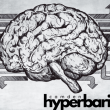 brain graphic