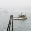 Mapping Ocean Stories photo