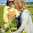 (Photo courtesy Belfast Garden Club)