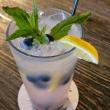 Blueberry Lemonade Mojito