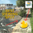 You could win one of 17 great prizes. Go to: www.WestBayRotaryOfMaine.org