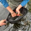 A small brookie caught by a beginning angler last spring on the St. George. (Photo courtesy Carmen Bombeke)