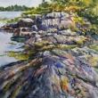 Coastal Ledge - Heinzen. (Photo courtesy Maine Coastal Islands National Wildlife Refuge Visitor Center)