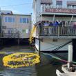 You could win one of 17 great prizes. Go to: www.WestBayRotaryOfMaine.org