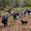 a group of students in a forest
