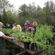(Photo courtesy Merryspring Nature Center)