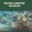 Screenshot of Maine Lobster Museum