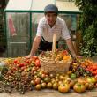 Long ago and far away, the chef at The French Laundry gave Charlie Costello a handful of tomato seeds-Move over Jack...Photo Credit: Edible East Bay