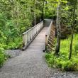Fort Point Trail. (Photo courtesy Georges River Land Trust)