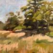 "Summer Field" oil on panel by Jeff Shula. (Photo courtesy Belfast Free Library)