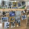 ArtLab’s OUT Maine Window Display June 2025. (Photo courtesy CMCA)