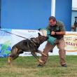 Marek subdues Deputy Allen during a demonstration in 2022. (Photo by Chris Wolf)
