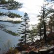 Harkness Preserve. (Photo courtesy Coastal Mountains)