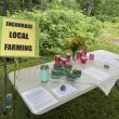 Strawberry Festival
