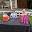 Strawberry Festival