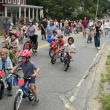 Strawberry Festival