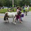 Strawberry Festival
