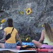 A sunflower helps identify a plaque for Sunshine Stewart that's mounted to a cliffside boulder on an island in Crawford Pond. (Photo by Sarah Thompson)