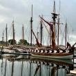 Camden Windjammer Weekend, 2025. (Photo courtesy Claudia Griffiths)