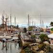 Camden Windjammer Weekend, 2025. (Photo courtesy Claudia Griffiths)