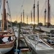 Camden Windjammer Weekend, 2025. (Photo courtesy Claudia Griffiths)