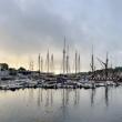 Camden Windjammer Weekend, 2025. (Photo courtesy Claudia Griffiths)