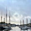 Camden Windjammer Weekend, 2025. (Photo courtesy Claudia Griffiths)