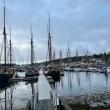 Camden Windjammer Weekend, 2025. (Photo courtesy Claudia Griffiths)
