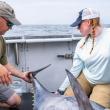 Walt Golet, (left) and Kay Zipp capture, tag and release Atlantic bluefin tuna in the Gulf of Maine for research in August 2023. Golet co-authored a recent study, led by Sammi Nadeau, that illustrated a shift in the tuna's diet and described the role of foraging in the tuna’s lifecycle. (Photo courtesy University of Maine)