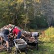 Wood Stacking