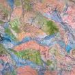 INTERSECTING ECOLOGIES: Panel I, 108 in W x 68 H. (Photo courtesy Dr. Aaron Rosen)