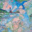 INTERSECTING ECOLOGIES: Panel II, 76 in W x 68 H. (Photo courtesy Dr. Aaron Rosen)