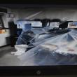 Offices and computers are protected from rain storms and plumbing problems by plastic sheets.