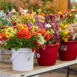 Potted flowers on a table