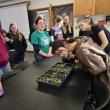 Students analyze seedlings