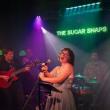 Sugar Snaps Band