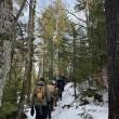 Line of hikers walk up a snow-covered trail