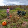 woman stands in autumn garden
