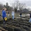 students stand on the timbers