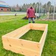 Raised beds