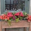 window box