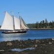 The J & E Riggin schooner is a familiar sight in Midcoast waters.  Photo by Kay Stephens